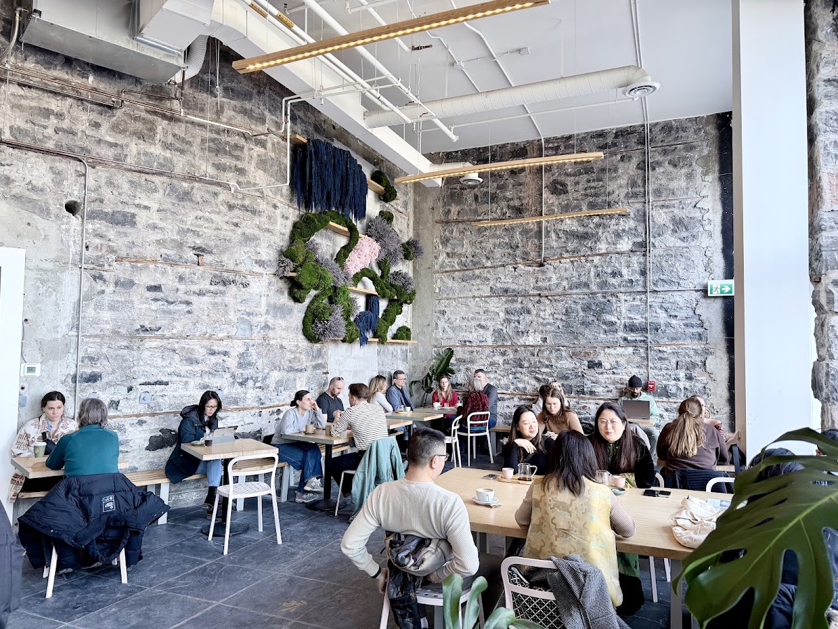 Little Victories Coffee Roasters - Elgin — Cafe